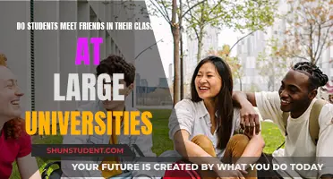 Making Friends at Large Universities: Class Connections