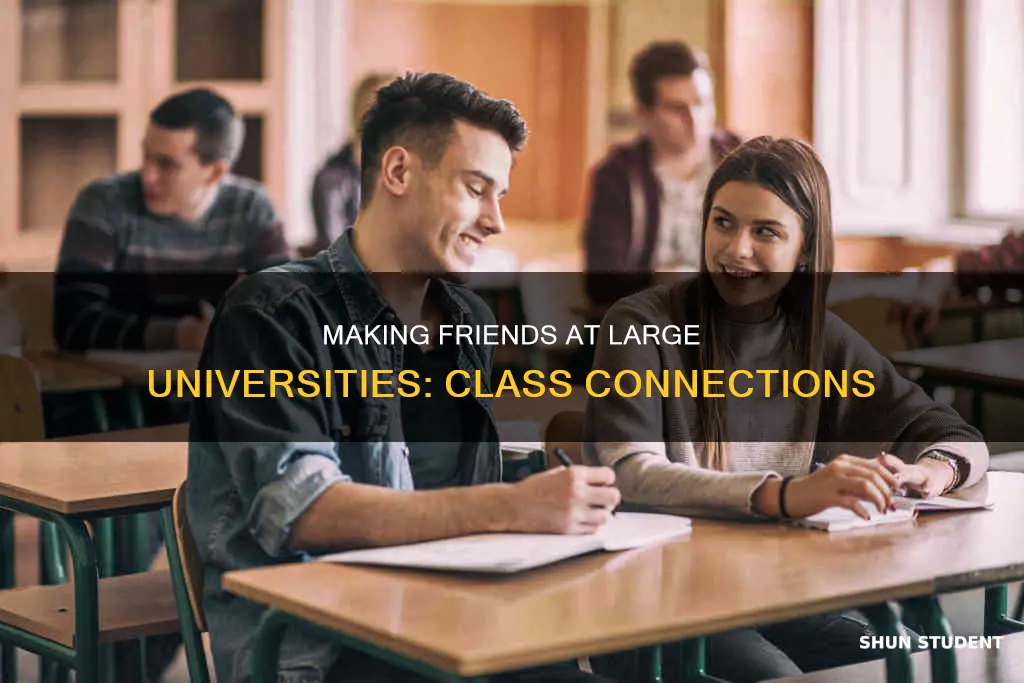 do students meet friends in their classes at large universities
