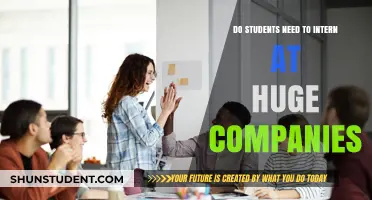 Internships: Big Companies vs. Small Startups