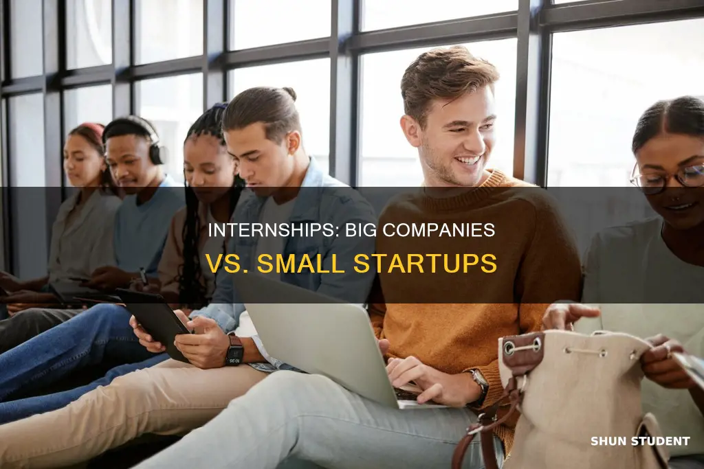 do students need to intern at huge companies