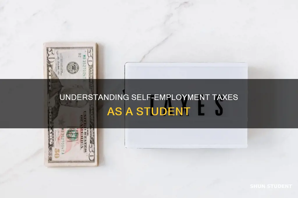 do students need to pay self employment tax