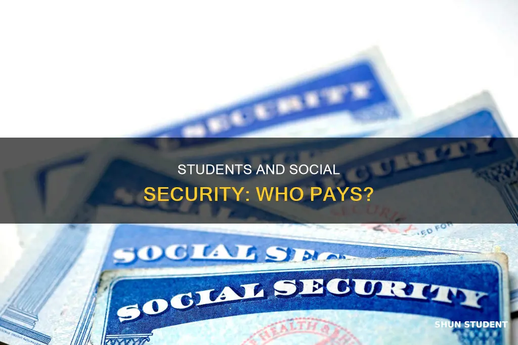 do students not pay social securit tax