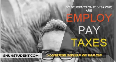 F1 Visa Students: Do You Need to Pay Taxes?