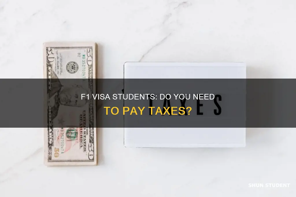 do students on f1 visa who are employed pay taxes