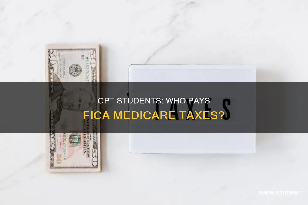do students on opt pay fed med ee