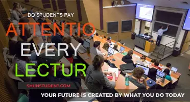 Do Lectures Always Capture Students' Attention?