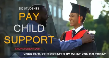Child Support: Student's Responsibility and Legal Obligation