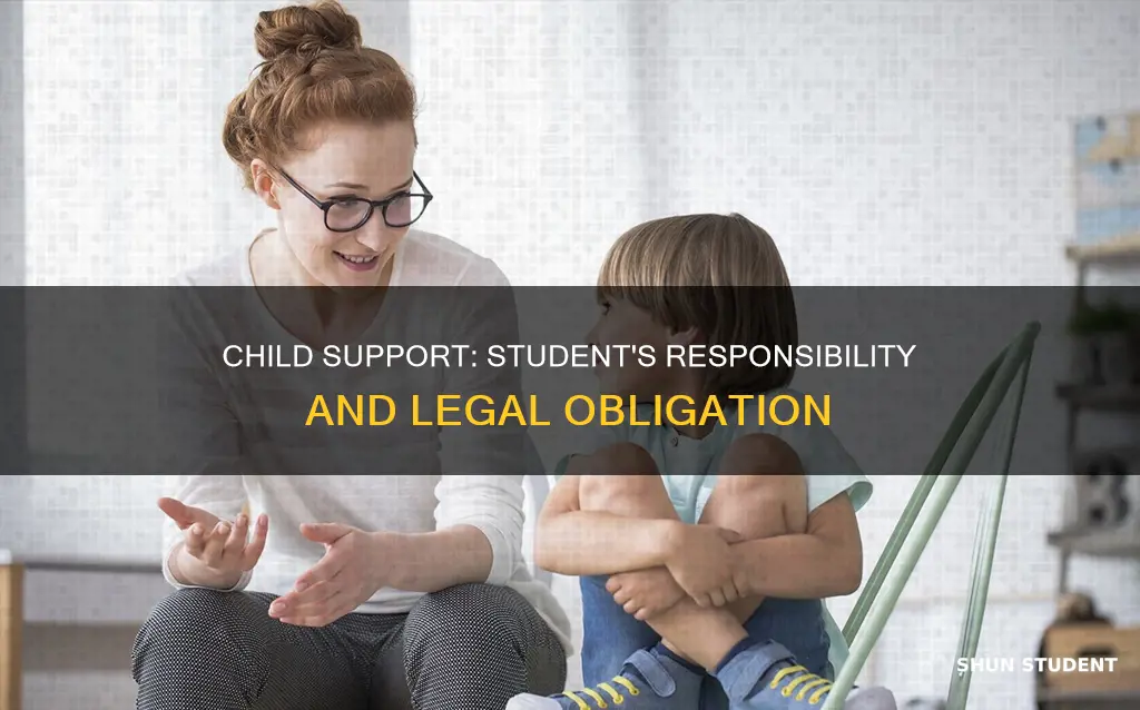 do students pay child support
