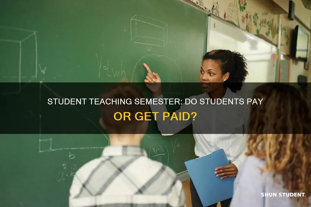 do students pay during student teaching semester