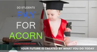 Acorn Platform: A Student's Payment Guide