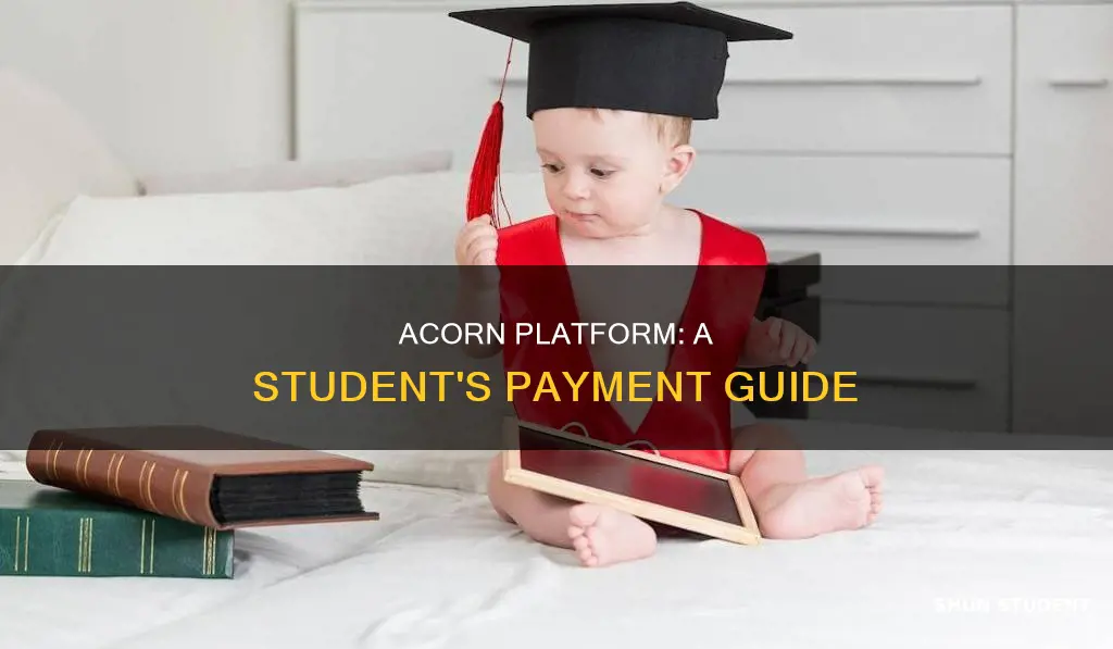 do students pay for acorn