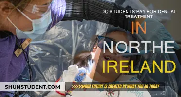 Dental Treatment Costs for Students in Northern Ireland