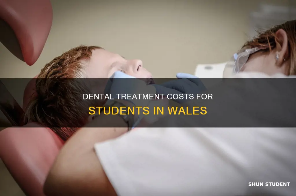 do students pay for dental treatment in wales