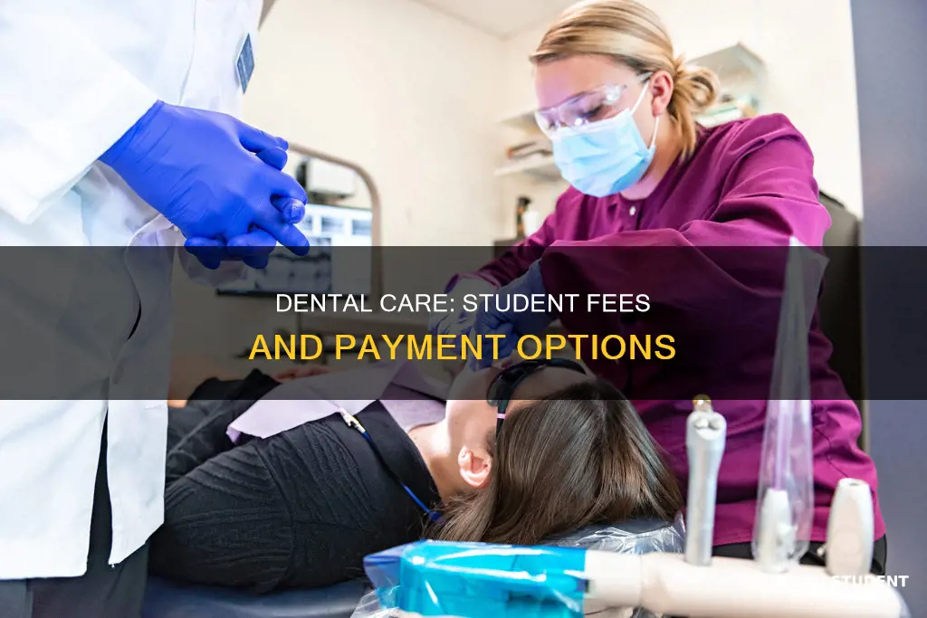 do students pay for dentist