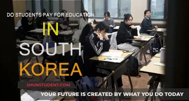 South Korea's Education System: Free or Fee?