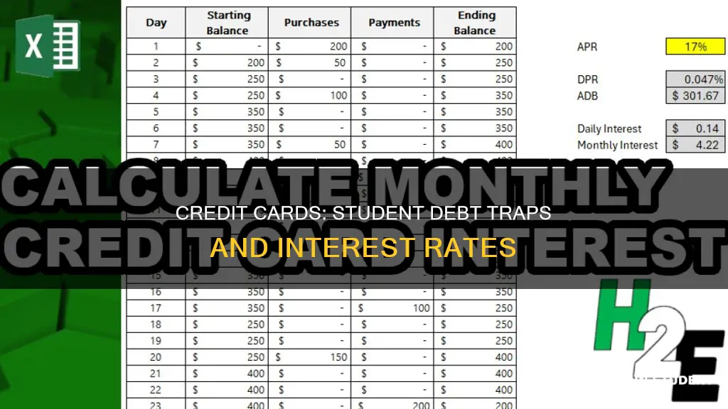 do students pay interest on their credit cards