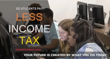 Students and Income Tax: What You Need to Know