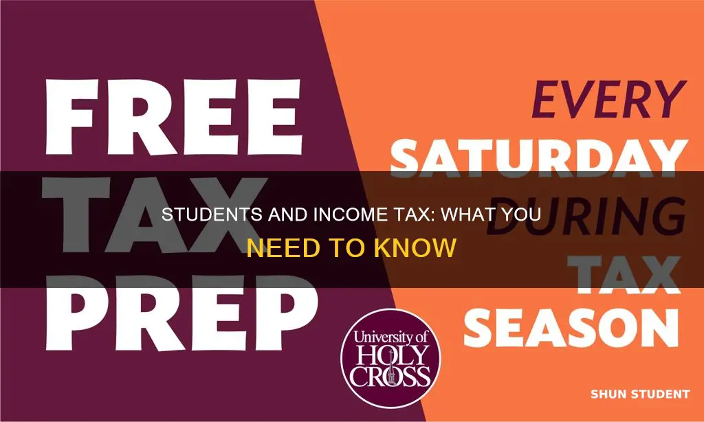 do students pay less income tax