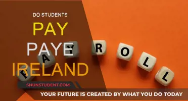 Understanding PAYE for Students in Ireland