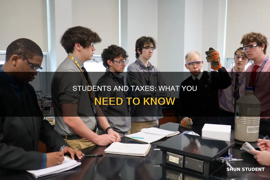 do students pay tax in usa