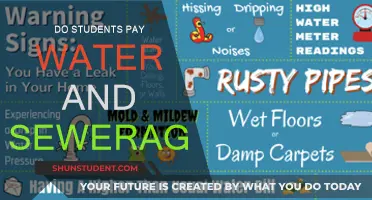 Understanding Water and Sewerage Bills for Students