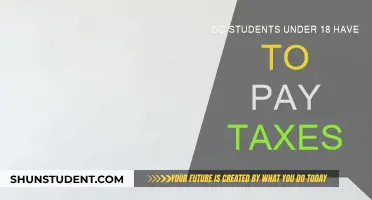 Young Students and Taxes: Who Pays?