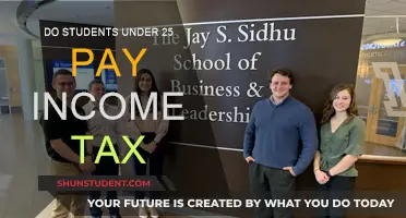 Young Students and Income Tax: Who Pays?