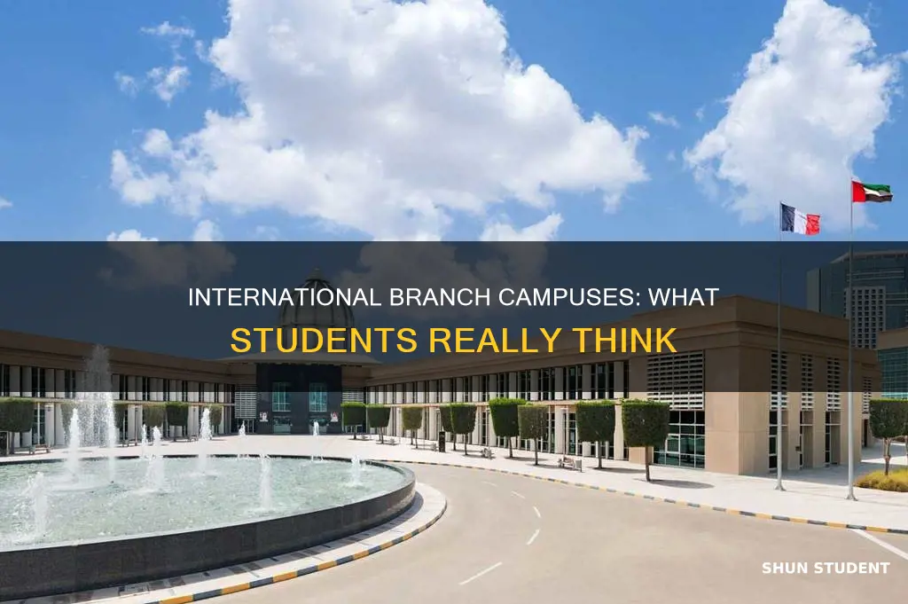 do students want international branch campuses