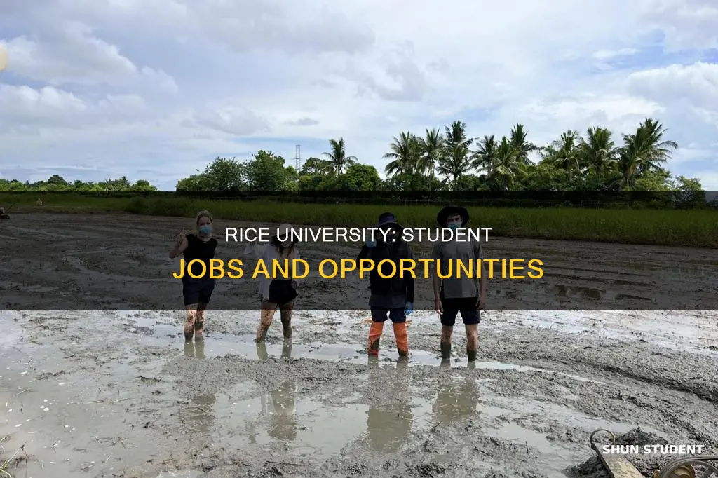 do students work at rice university