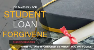 Student Loan Forgiveness: Taxpayers Foot the Bill?