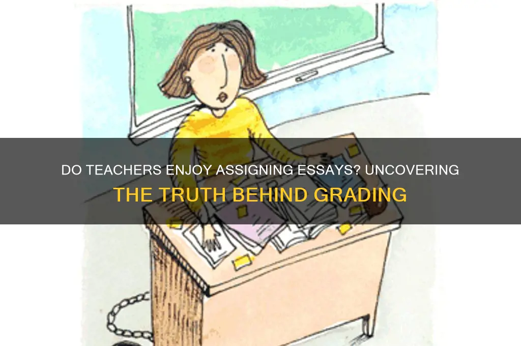 do teacher actually enjoy assigning student with a essay