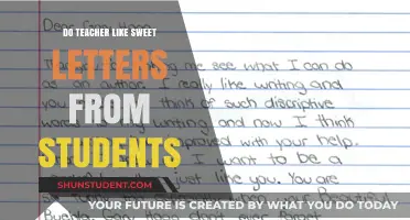 Do Teachers Cherish Sweet Letters from Students? Insights and Appreciation
