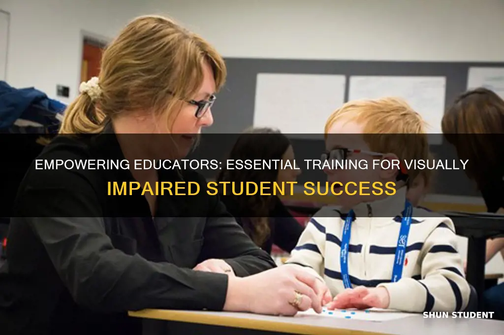 do teacher need taining for vially imapired students