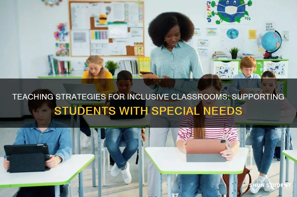 do teachers teach lessin classroomswith students with special needs