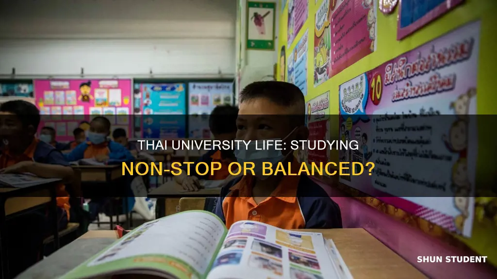 do thai university students study all the time