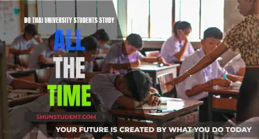 Thai University Students: Study, Study, Study?