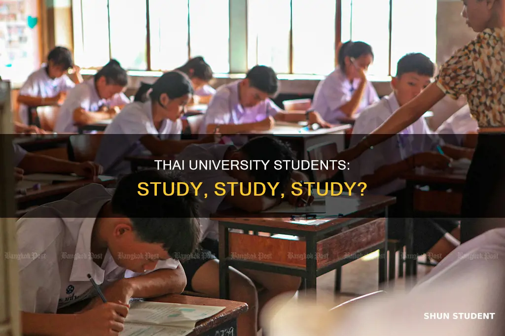 do thai university students study all the time