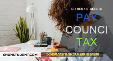 International Students and Council Tax: Who Pays?
