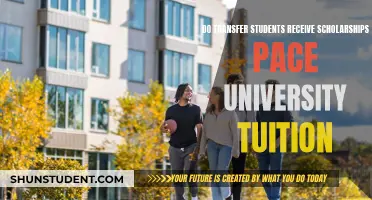 Transfer Students: Scholarships and Pace University Tuition