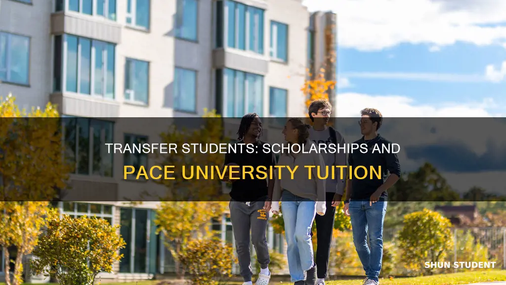 do transfer students receive scholarships pace university tuition