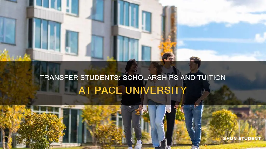 do transfer students recieve schoarships pace university tuition