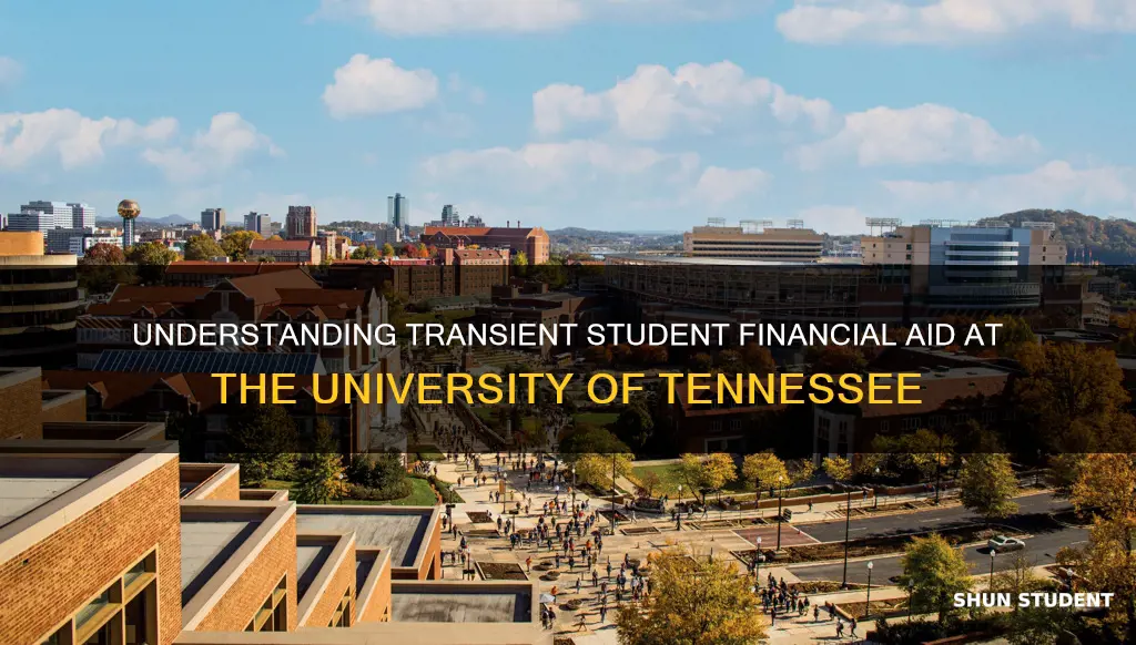 do transient students get financial aid university of tennessee