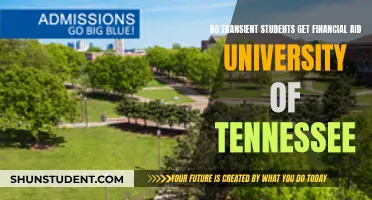 Understanding Transient Student Aid at the University of Tennessee
