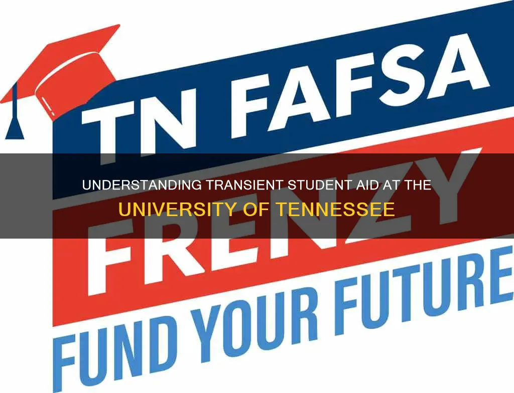 do transient students get financial aid university of tennessee