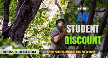 Do Trees Offer Student Discounts? Exploring Nature's Benefits for Students