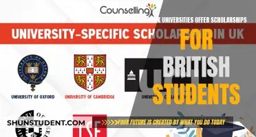 UK University Scholarships: Are Domestic Students Eligible?