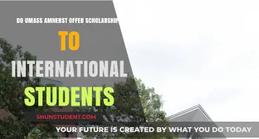 International Student Scholarships at UMass Amherst