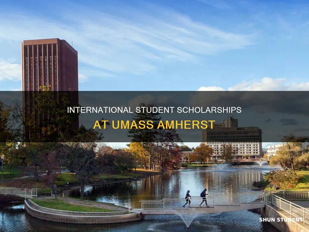 do umass amherst offer scholarships to international students