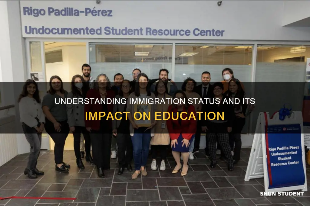 do undocumented immigrants apply as international students