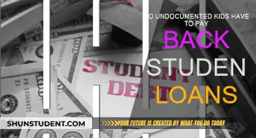 Undocumented Students: Can They Escape Student Loan Debt?
